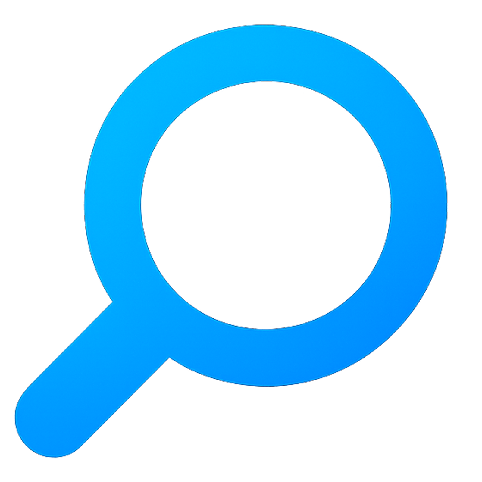 Audit Icon